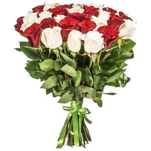35 Red White Roses