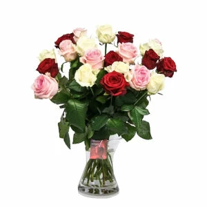 21 Mix Color Roses